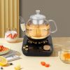 Electric Glass Kettle with Steaming and Brewing Modes Temperature and Timer Programs Cordless 800W 0.8L Capacity Perfect for Brewing Tea
